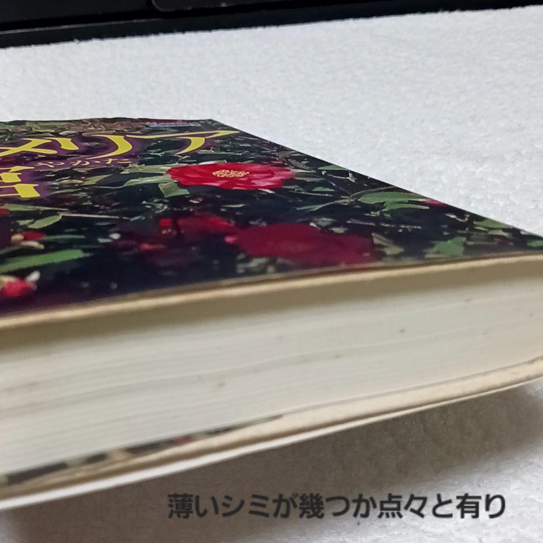 カメリア館 わたなべまさこ わたなべまさこ名作集 その2
