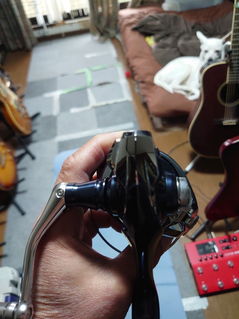 勝つ気。SHIMANO 21TWINPOWER SW 6000HG リール
