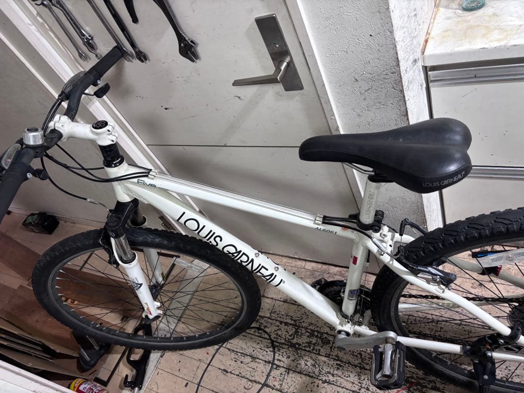 LOUIS GARNEAU Five 29erルイガノマウンテンバイク