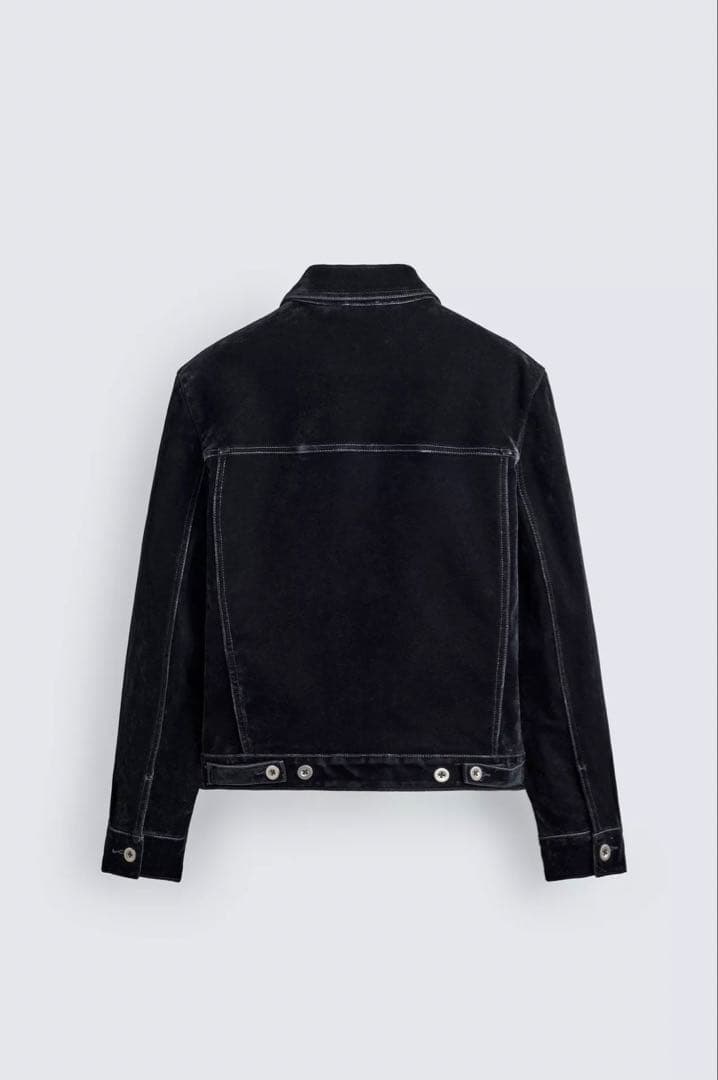 【ZARA】フロッキーベルベットジャケット