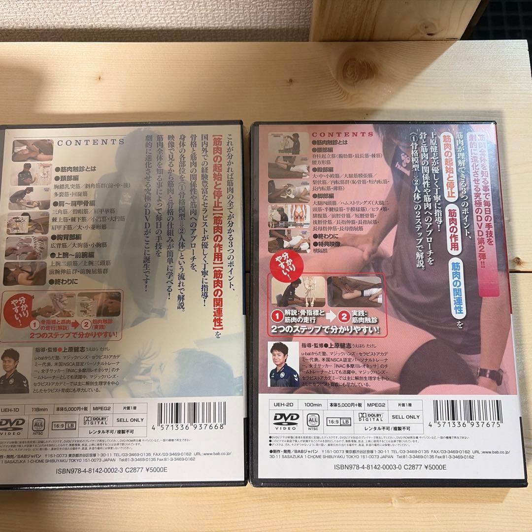 筋肉触診バイブル　上下巻　DVDセット