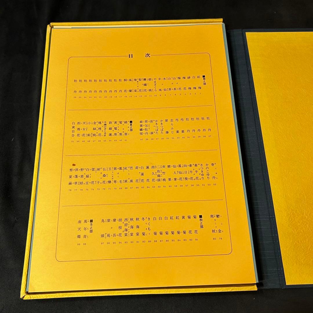 若冲画譜　大型書籍　伊藤若冲（1719-1800）作品集　希少　限定1,200部
