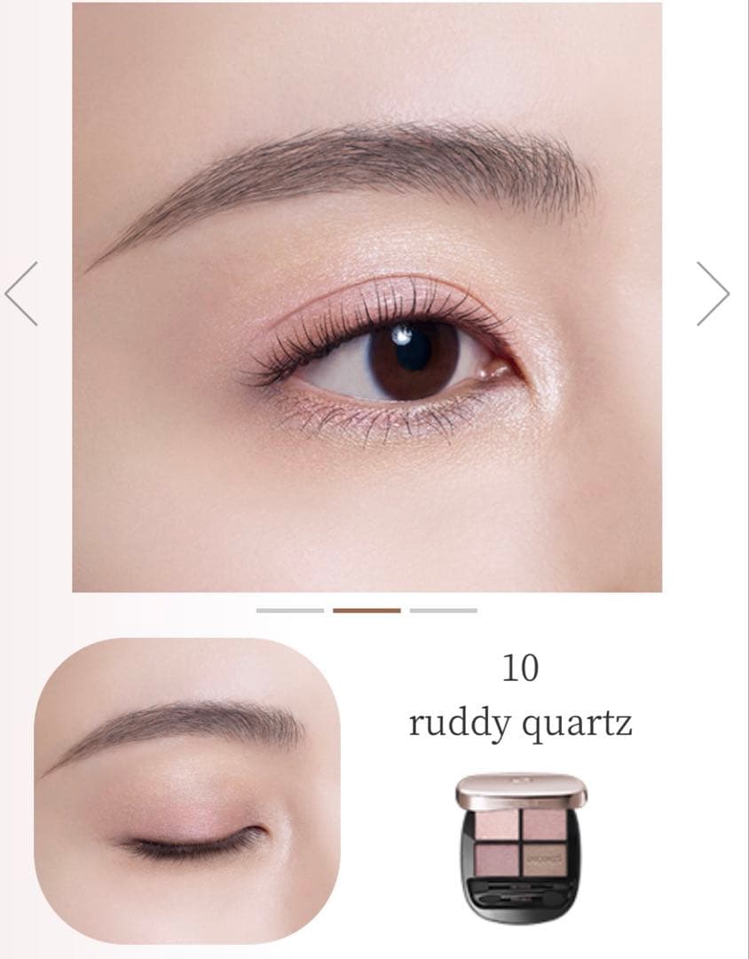 おまけ付き　DECORTÉ アイシャドウパレット 10