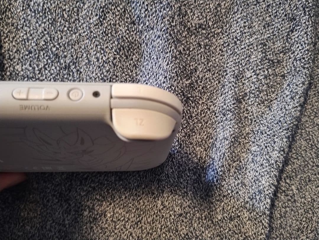 Nintendo Switch Lite 剣盾モデル