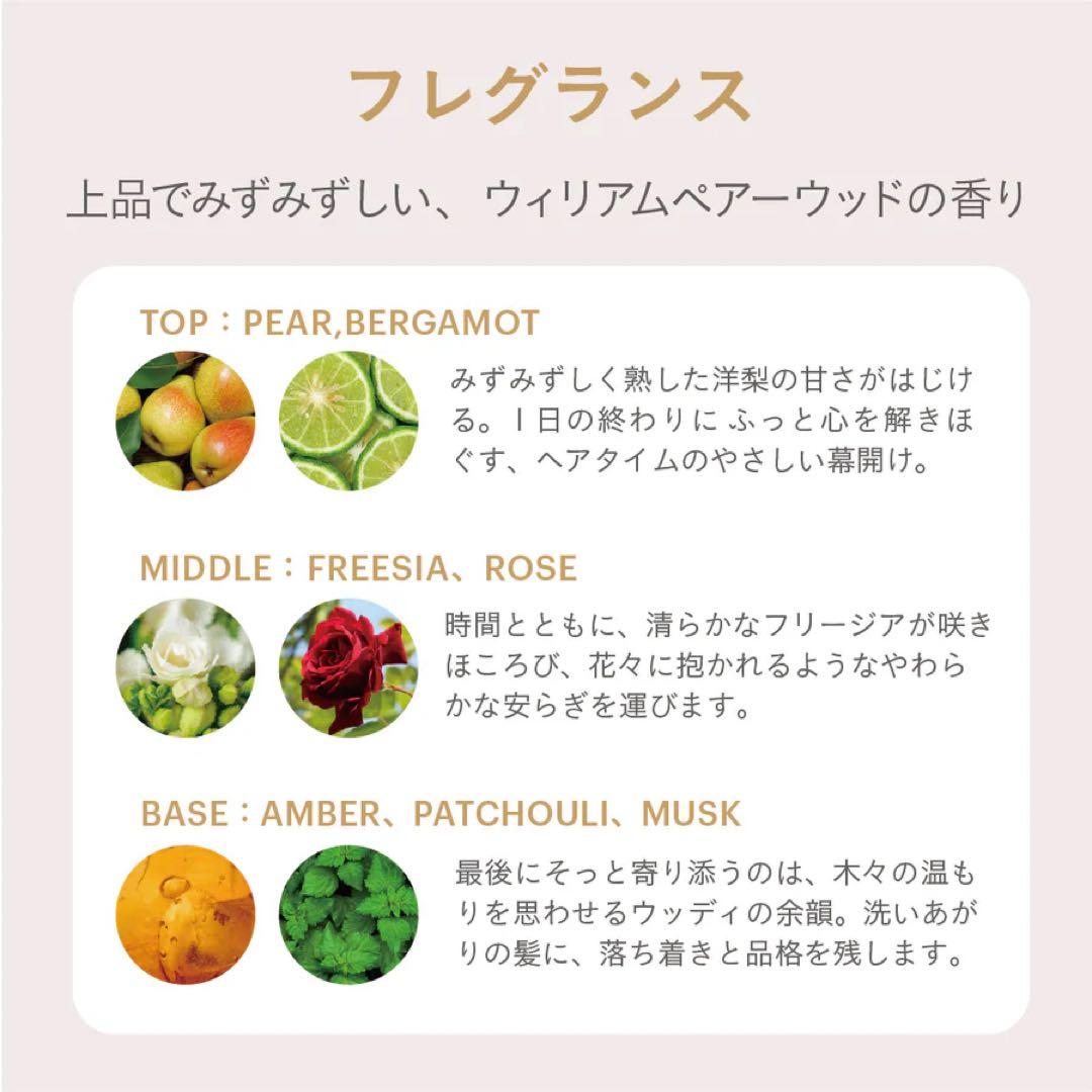【即日発送】ESTABLISHED コアプレックスシャンプートリートメントセット