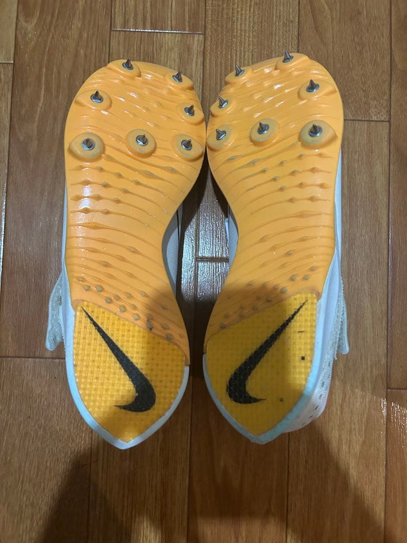 NIKE Air Zoom LJ Elite エアズームLJエリート　25.0