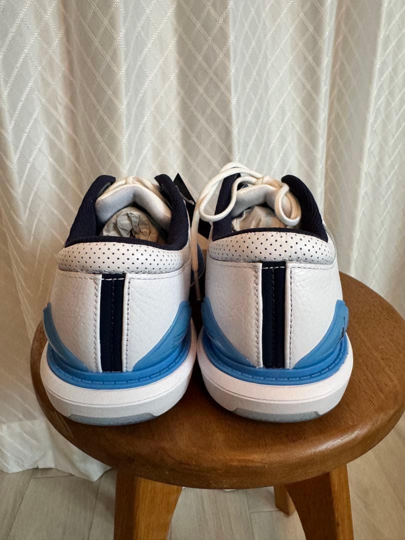 ☆新品・未使用NIKEナイキ Jordan ADG 5 G Golf Shoes