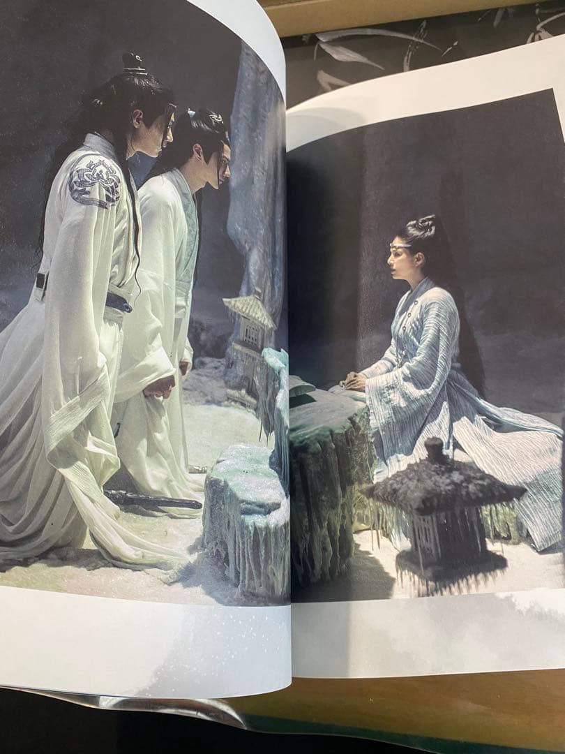 陳情令 公式設定資料集 初回限定特装版 完品 美品 The Untamed