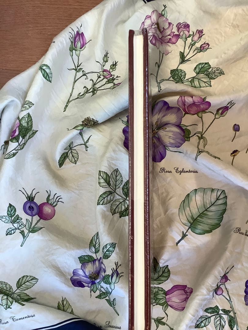 洋書 Rubaiyat of Omar Khayyam