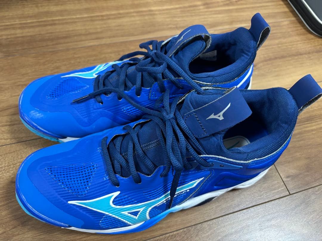 (最終値下げ)Mizuno Wave Momentum 3 27.0cm