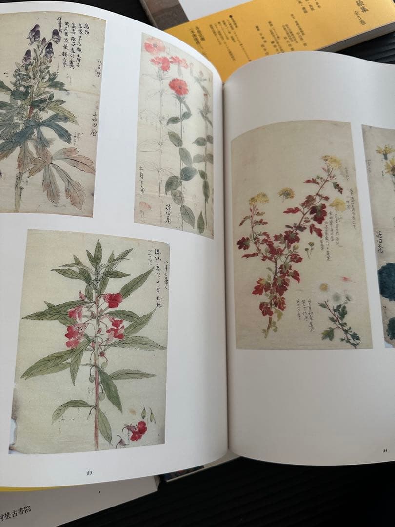 円山派下絵集 5冊セット　高井琮玄編　光村推古書院 円山応挙画集