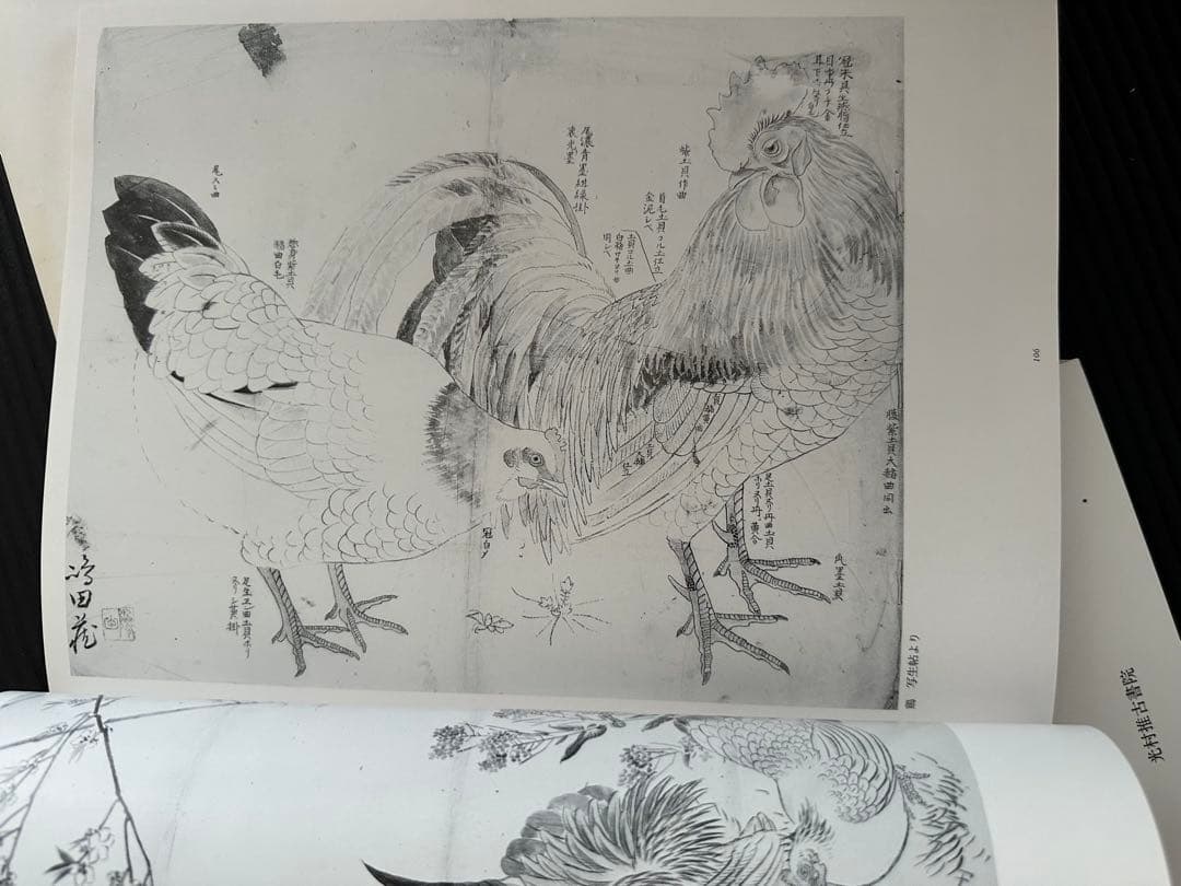 円山派下絵集 5冊セット　高井琮玄編　光村推古書院 円山応挙画集