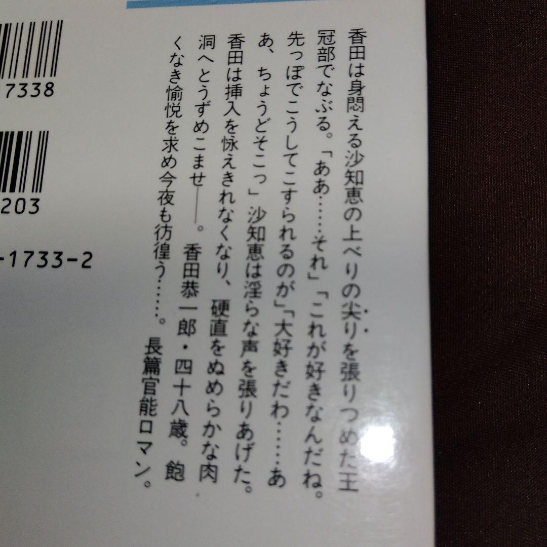 官能小説　北沢拓也　「危ない寝室麗人」