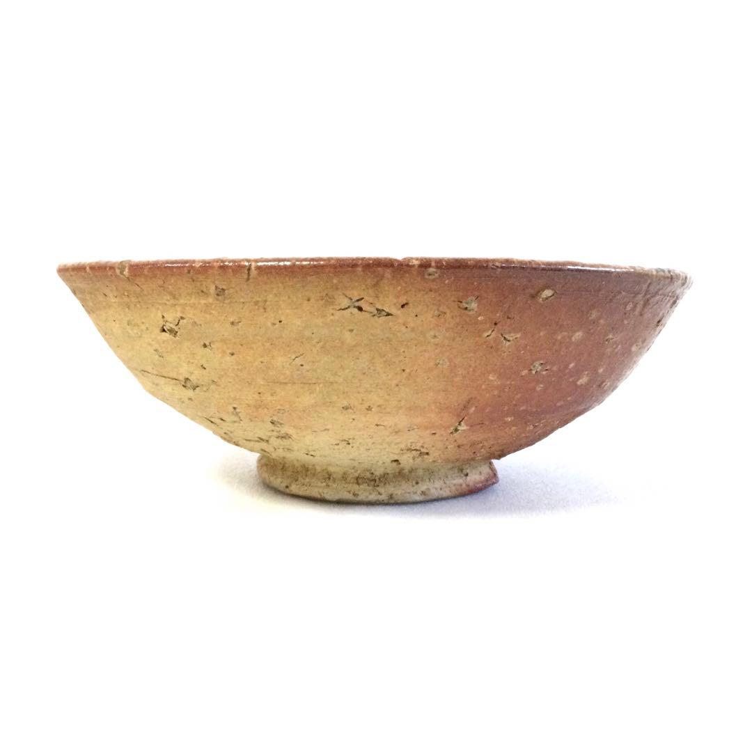 信楽焼 平茶碗 抹茶碗 高橋楽斎作 陶印有 茶道具 供箱付 T198