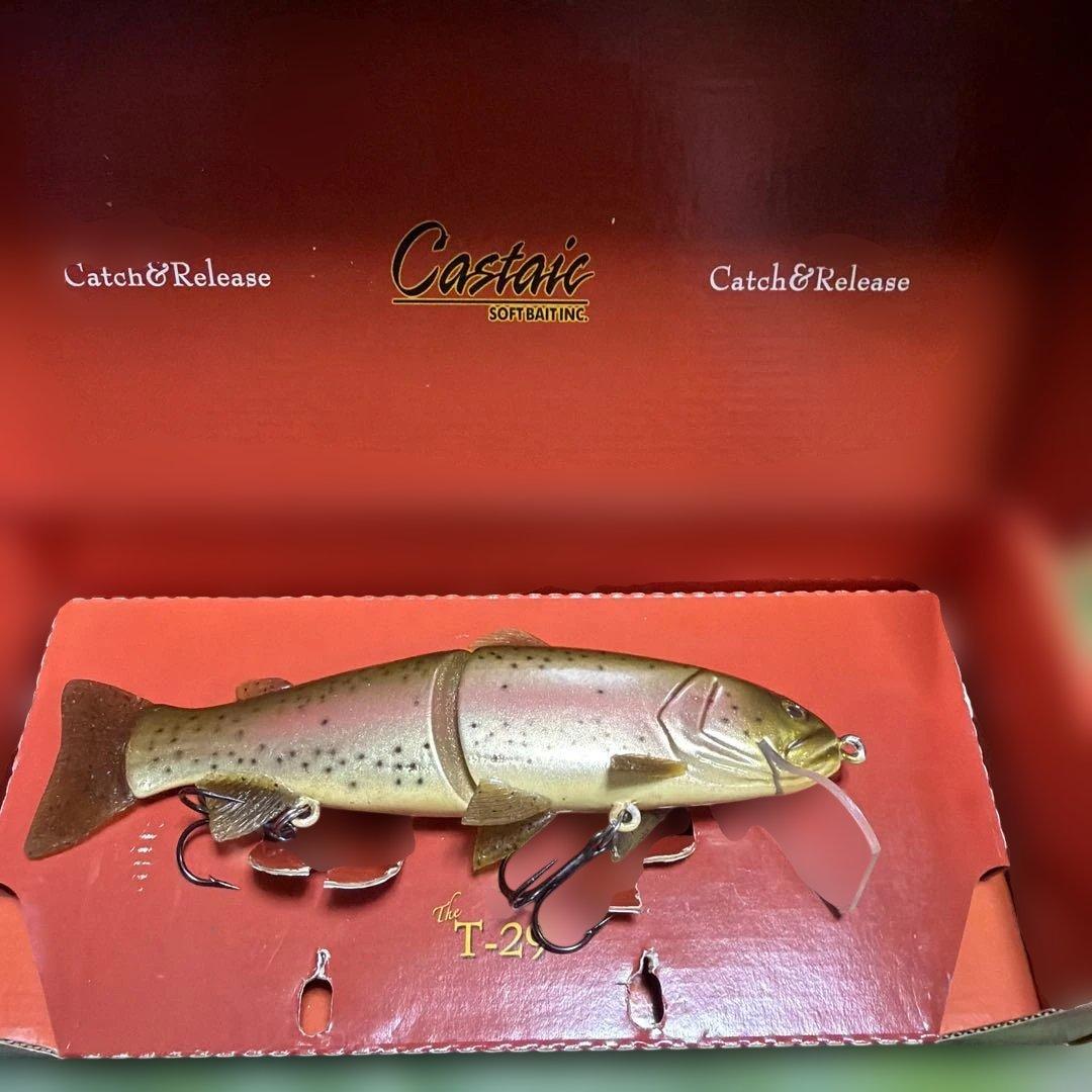 Castaic T-29 新品未使用