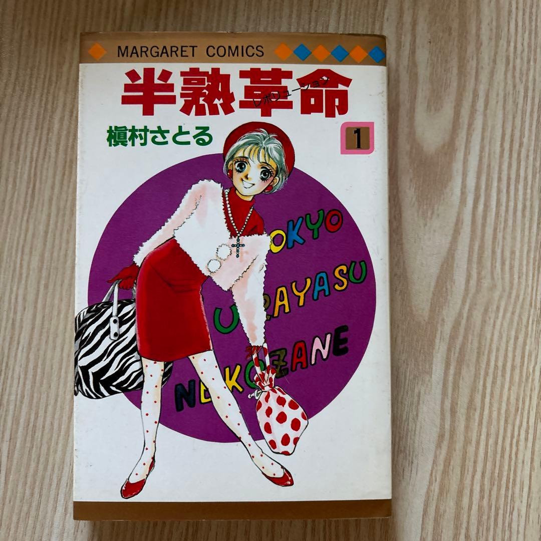 祝、芸術選奨文部科学大臣賞　槙村さとる 少女漫画43冊セット