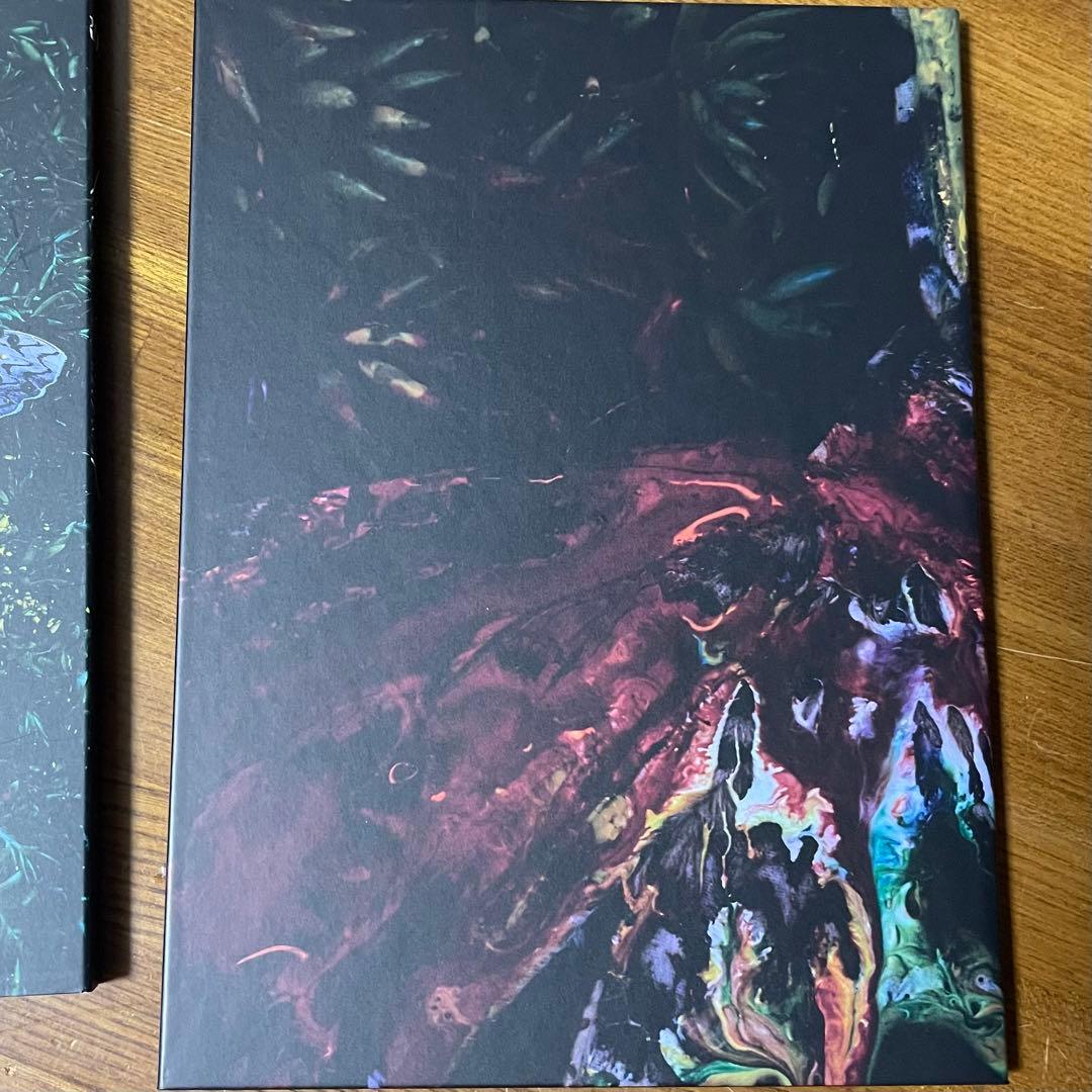 DIR EN GREY aknot限定DVD