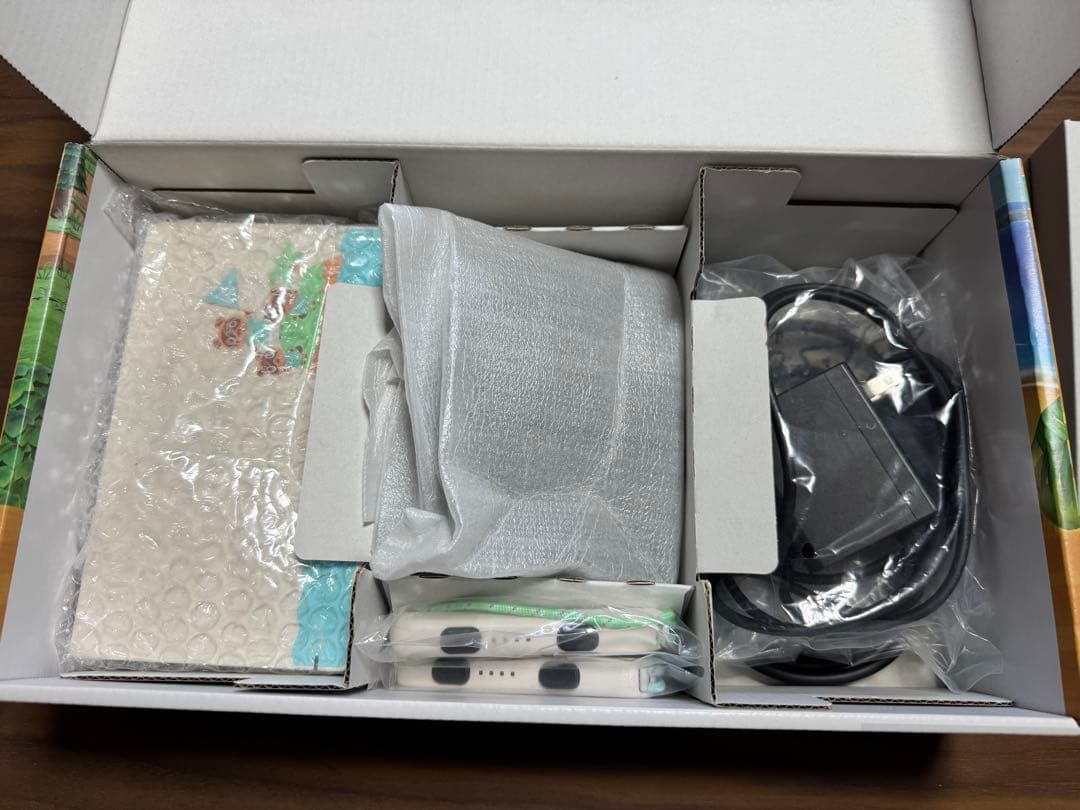 Nintendo Switch あつまれどうぶつの森　Switch
