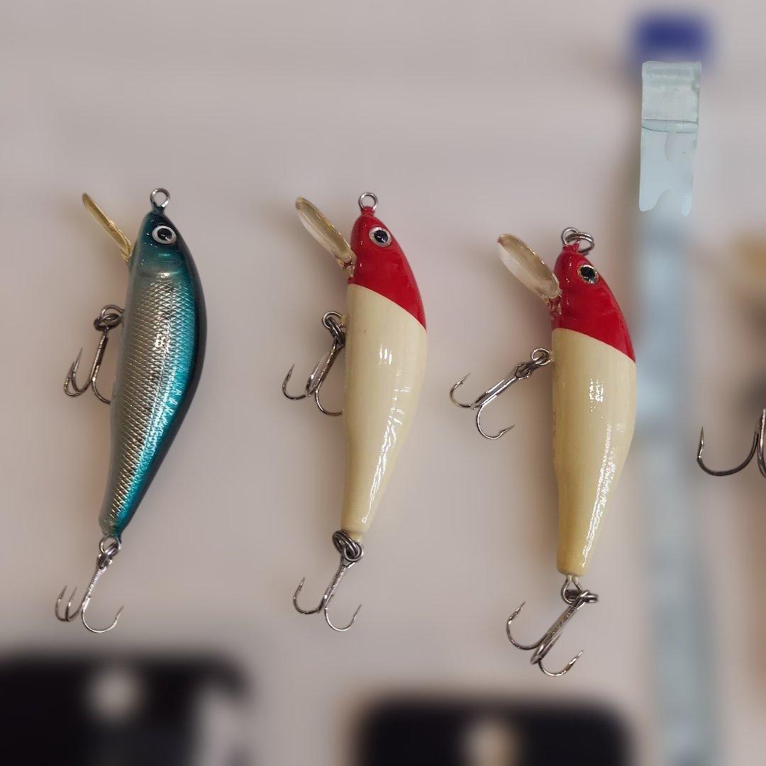 ザウルス　レックスシンキング　セット