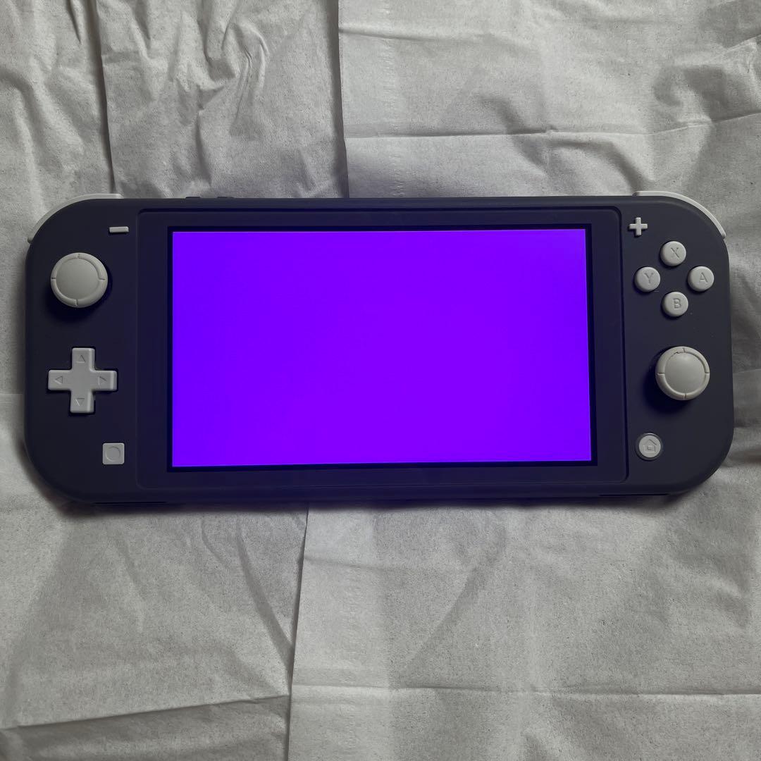 Nintendo Switch Lite グレー　ジャンク品　パープルスクリーン