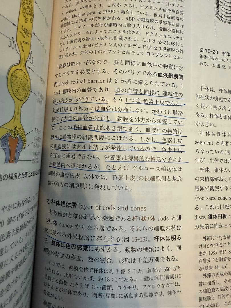 標準組織学各論　第5版