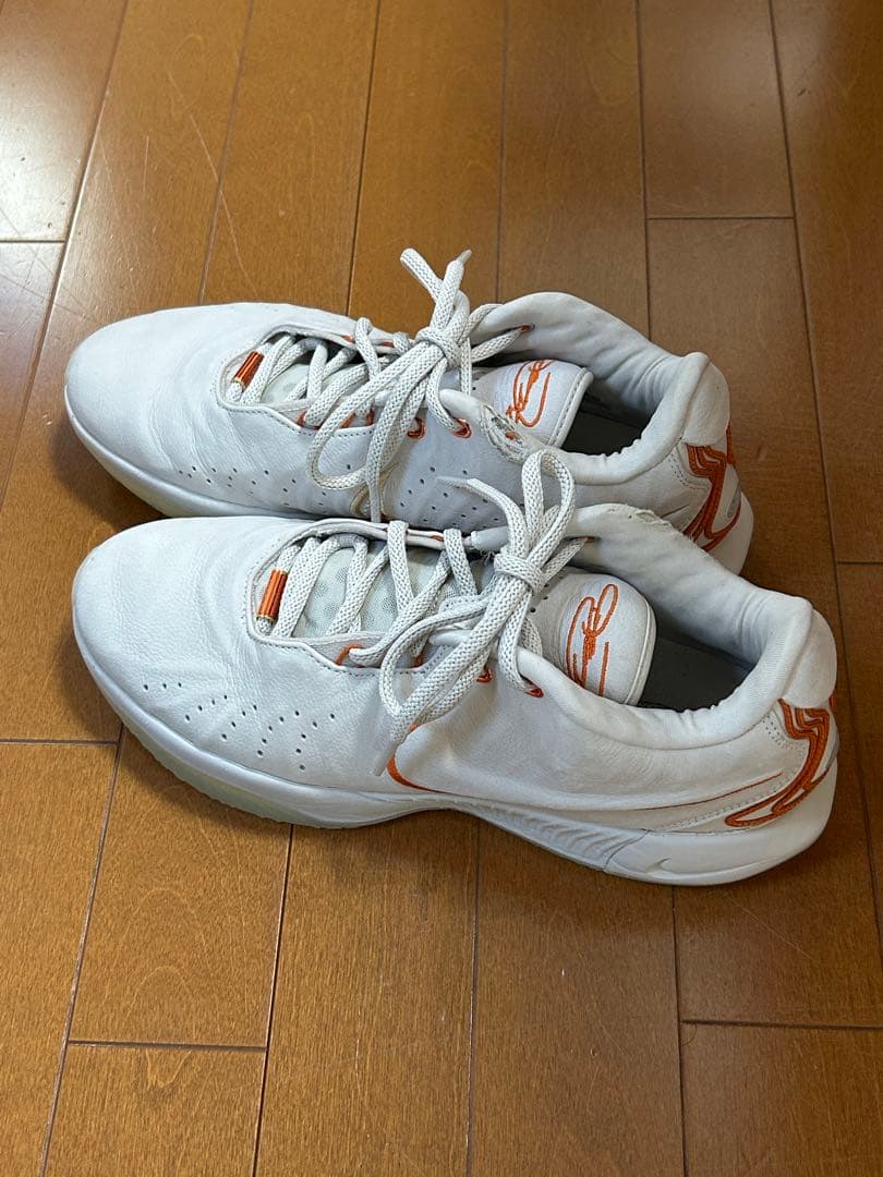 レブロン 20 /LEBRON XX PRM EP 20 21 2足セット