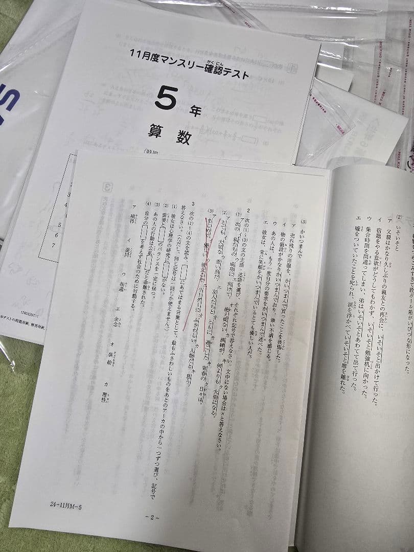 【成績データ付/全12回】SAPIX 5年生 組分け確認復習マンスリー