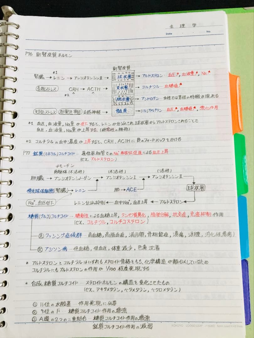 医療系学科定期試験、国家試験対策まとめノート【生物系セット】