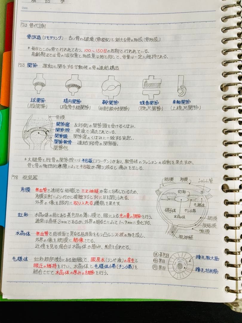 医療系学科定期試験、国家試験対策まとめノート【生物系セット】