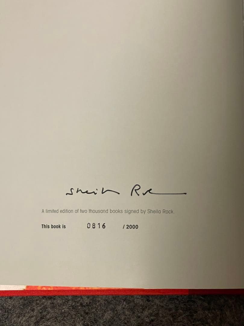 洋書 PUNK+ a document of punk from 1976-1980