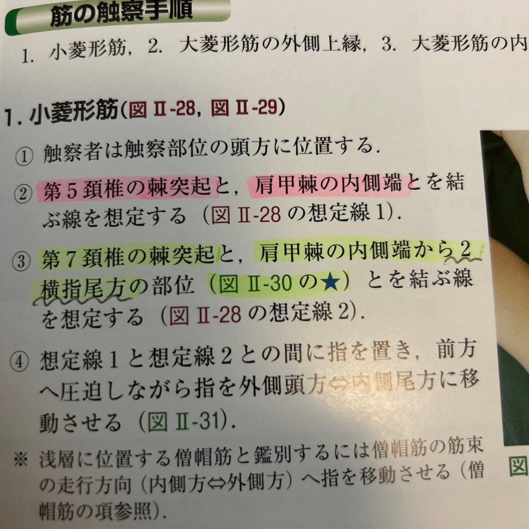 骨格筋の形と触察法 第二版