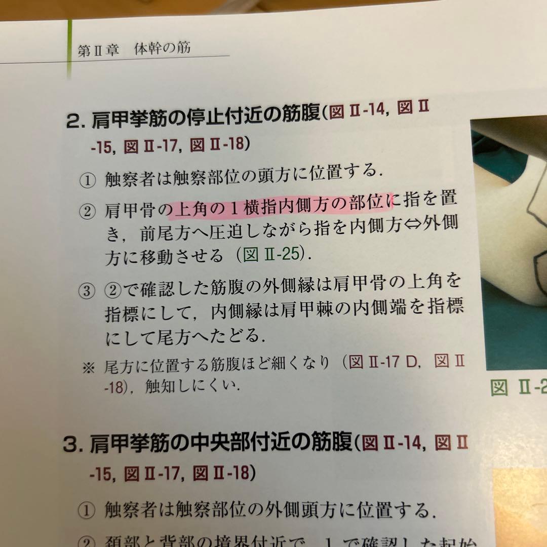 骨格筋の形と触察法 第二版