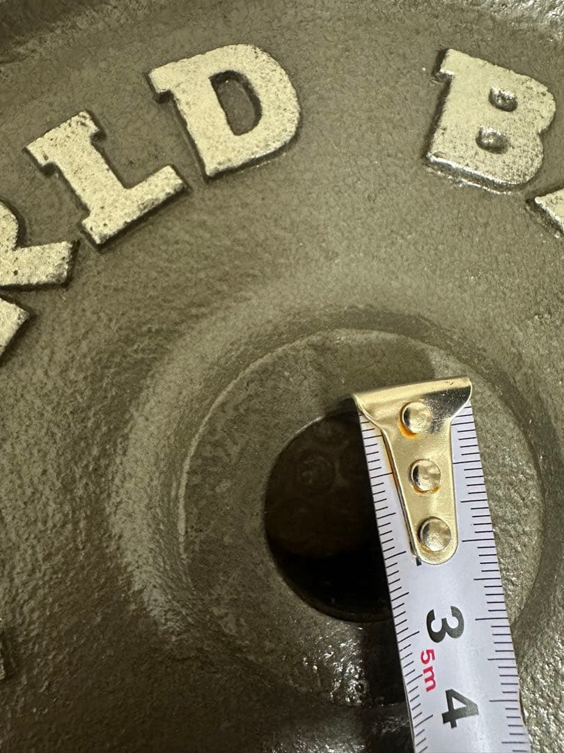 早い者勝ち 10KG ダンベルプレート 2個セット