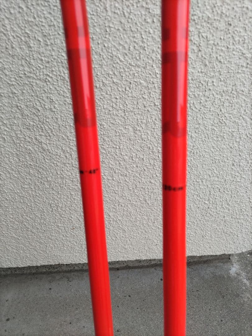 保管品 LEKI WCR GS GS 3Dポール 120cm