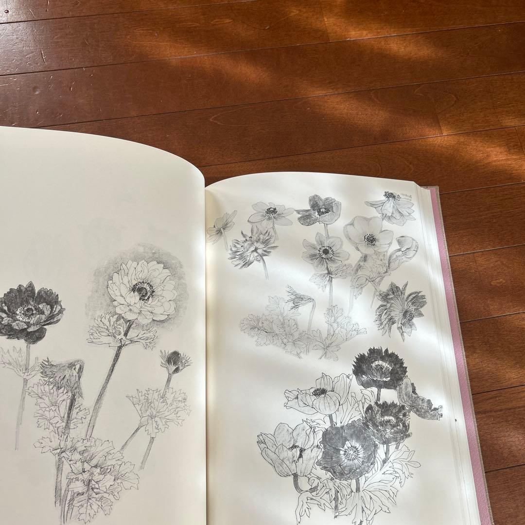 花の素描　木下　章　定価28000円