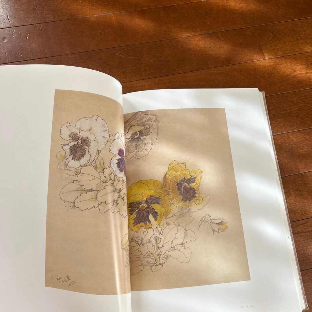 花の素描　木下　章　定価28000円