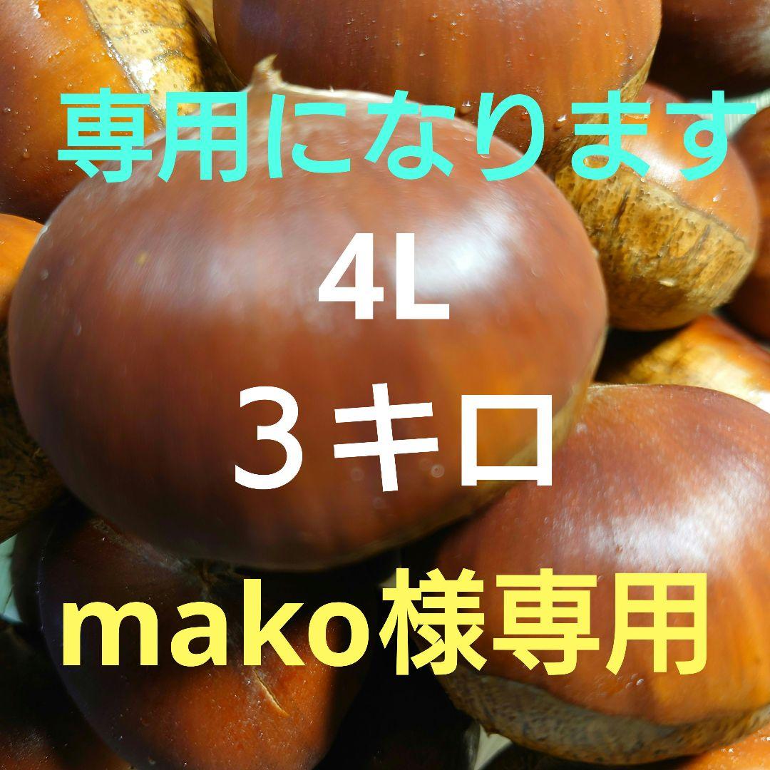 4Lサイズ 栗 3キロ mako