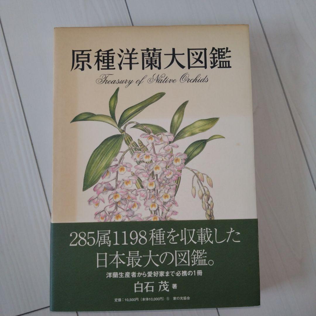 原種洋蘭大図鑑