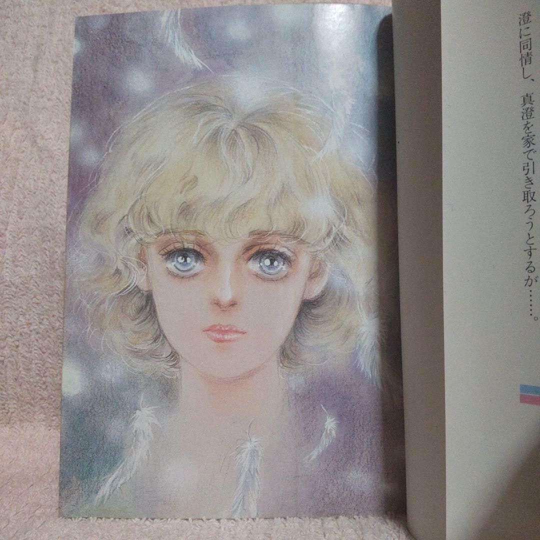 SGコミックス　金と銀のカノン　宮脇明子　第1刷