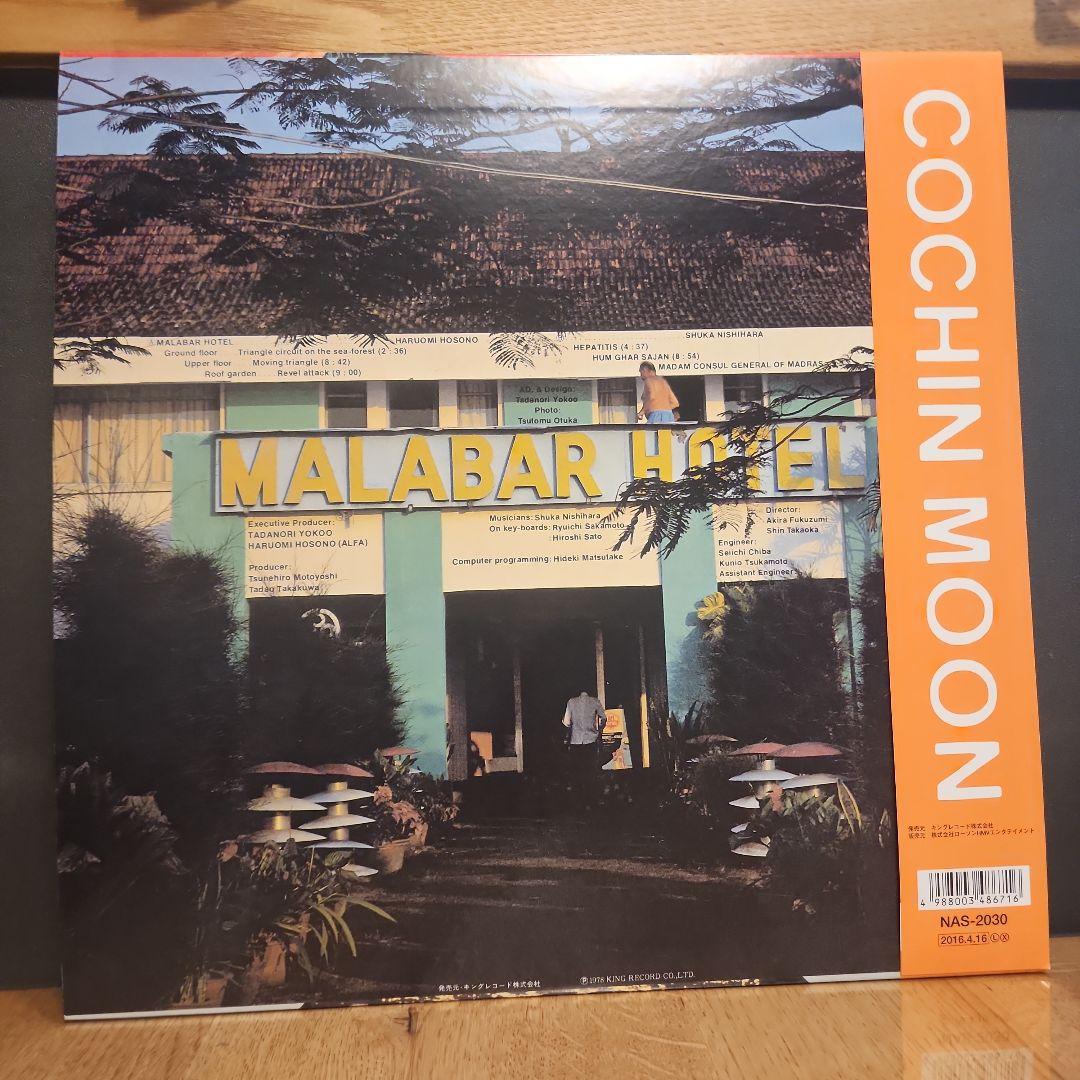 細野晴臣&横尾忠則 COCHIN MOON LP