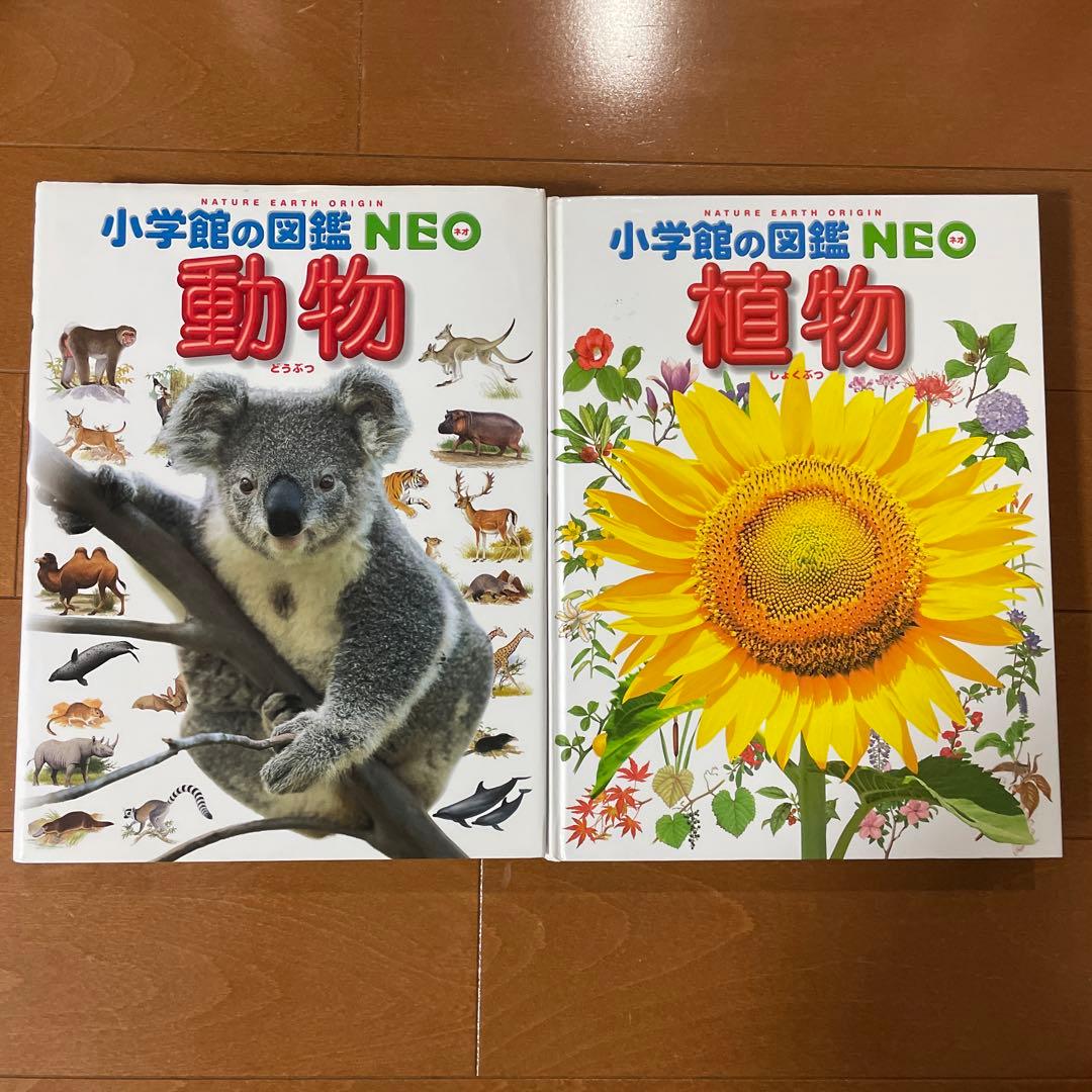 小学館の図鑑NEO 動物、他　12冊セット