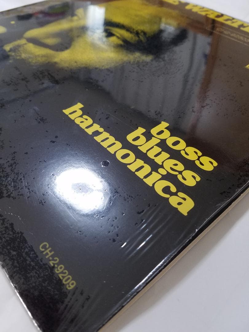 リトルウォルター　レコード2LP