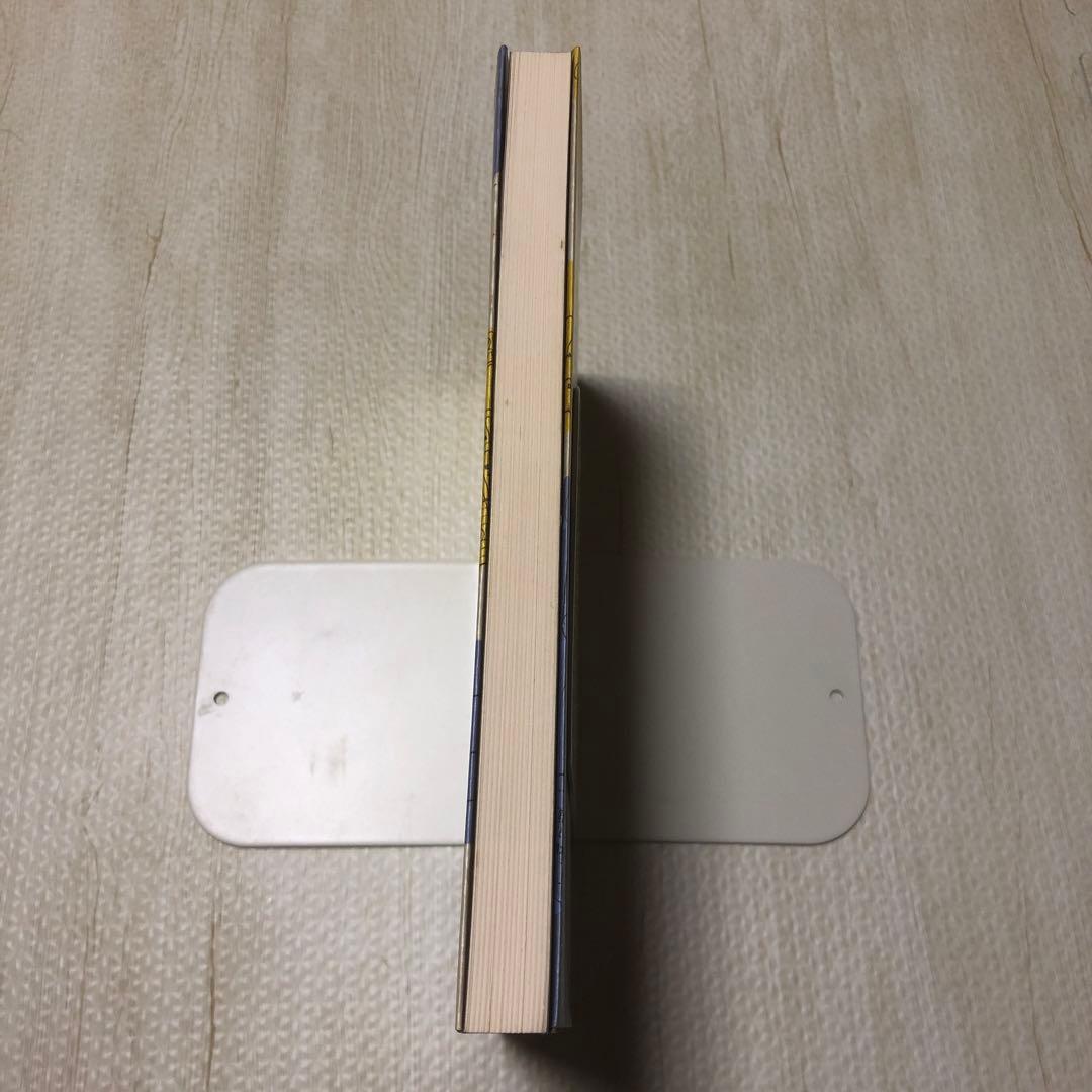 ごっこ遊びの探究　八木紘一郎