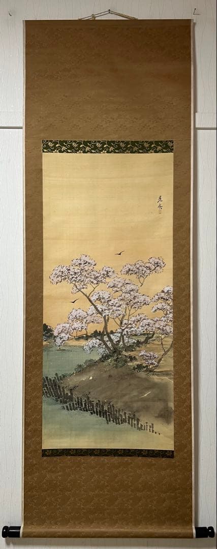 掛け軸　是真　絵［桜図］絹本　木箱付き　送料込み！
