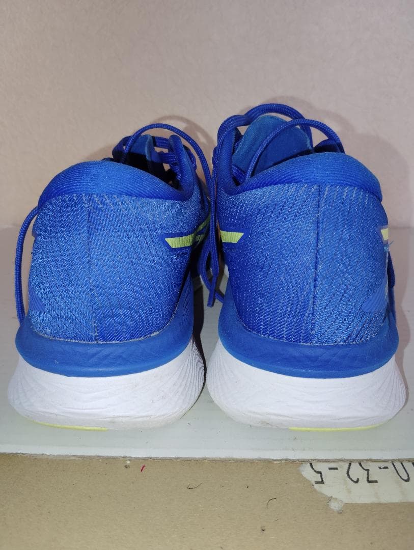 ASICS Magic Speed 25.5cm カーボン マジックスピード 3