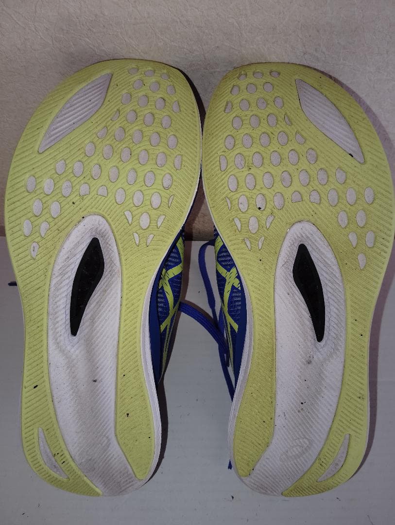 ASICS Magic Speed 25.5cm カーボン マジックスピード 3