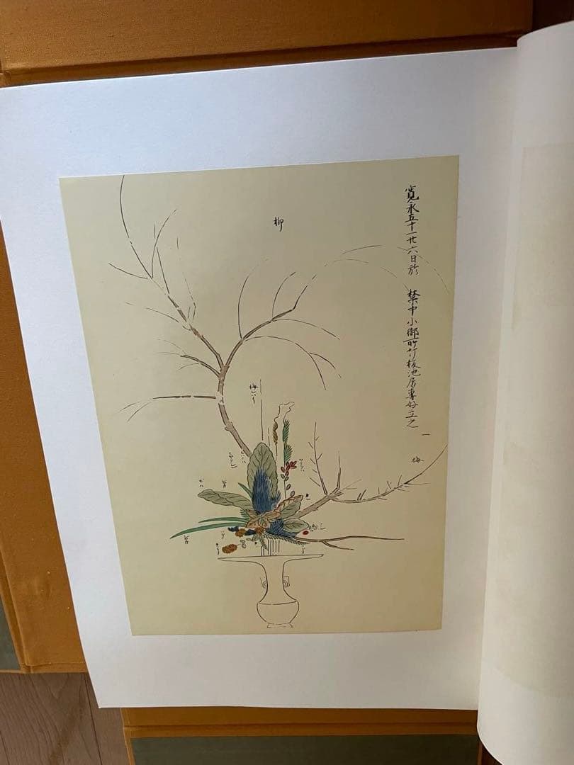 池房専好　立花　陽明文庫蔵　講談社
