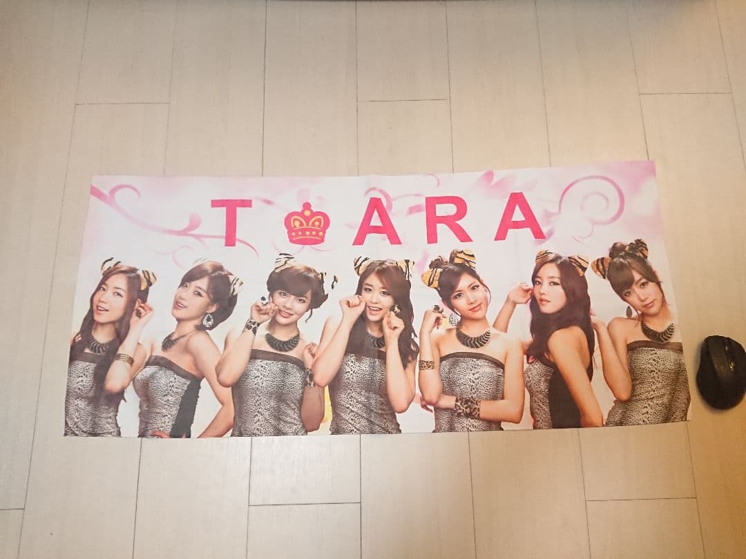 T-ara タペストリー ポスター