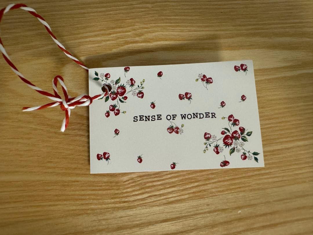 SENSE OF WONDER 上下服