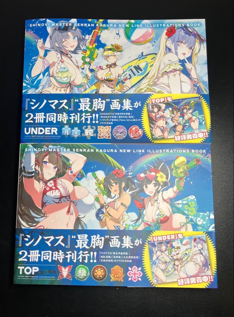シノビマスター 閃乱カグラ NEW LINK ILLUSTRATIONS